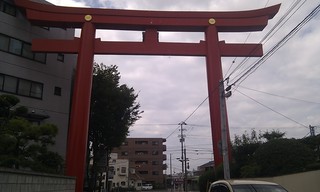 IMAG0380.jpg